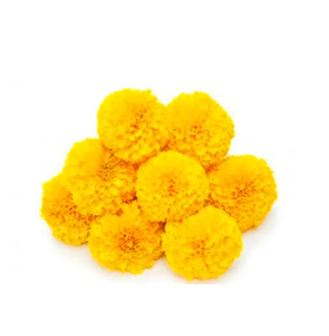 Marigold Flower - Yellow