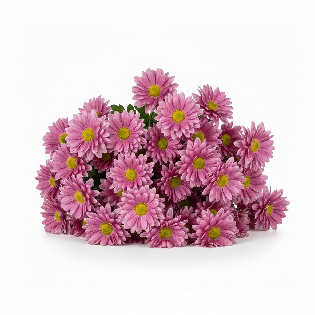 Shevanti Flower-Pink