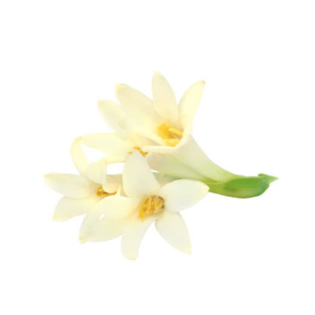 Gulchadi Flower