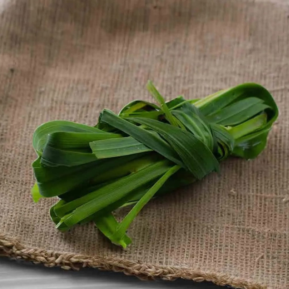 Lemon Grass