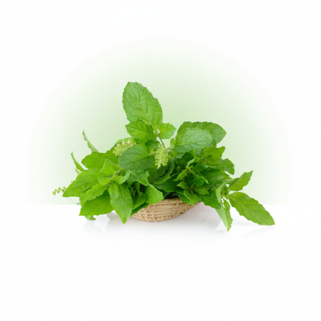 Tulsi Leaves