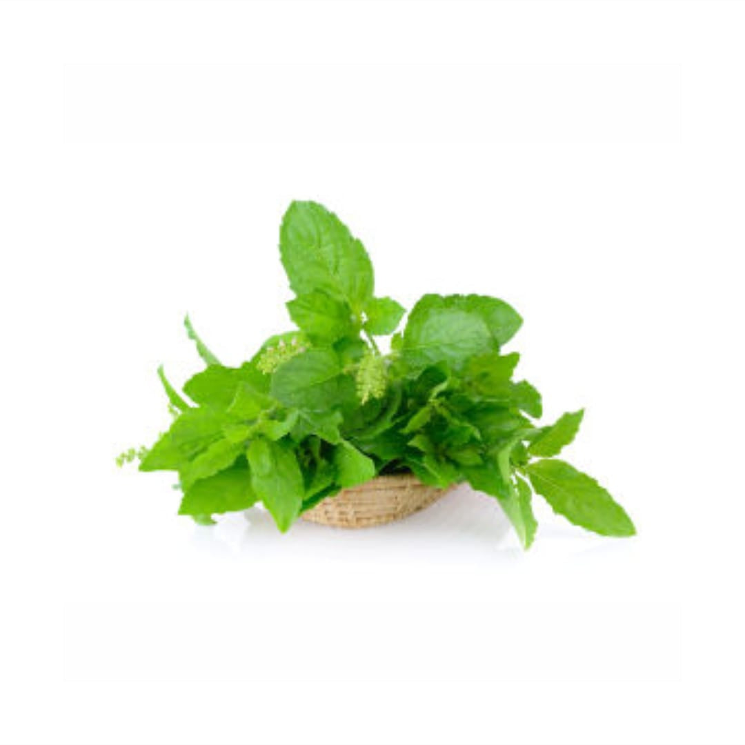 Tulsi Leaves