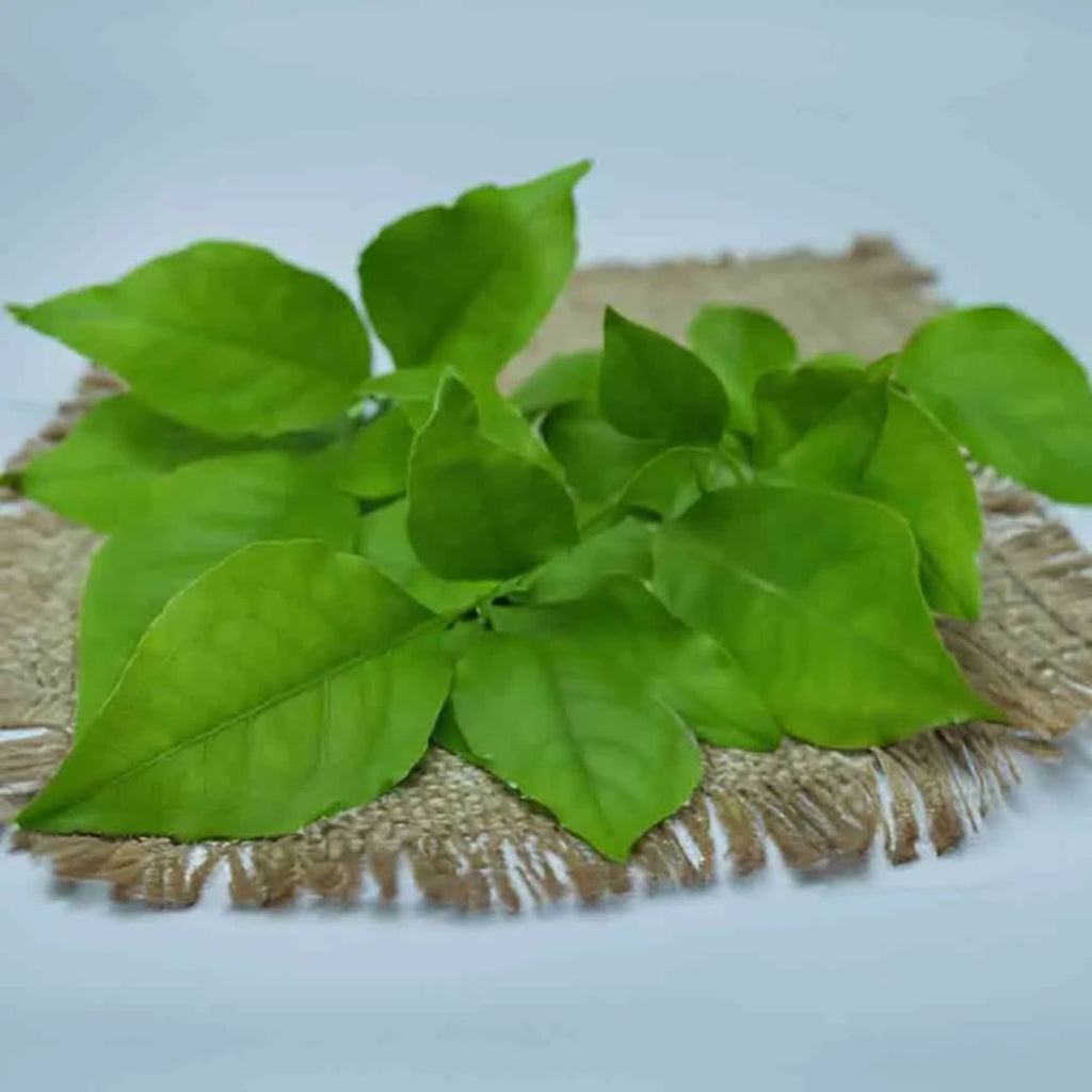 Bel Patra