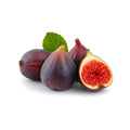 Fig