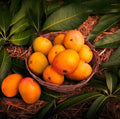 Devgad Baby Alphonso (app.160g to 180g)