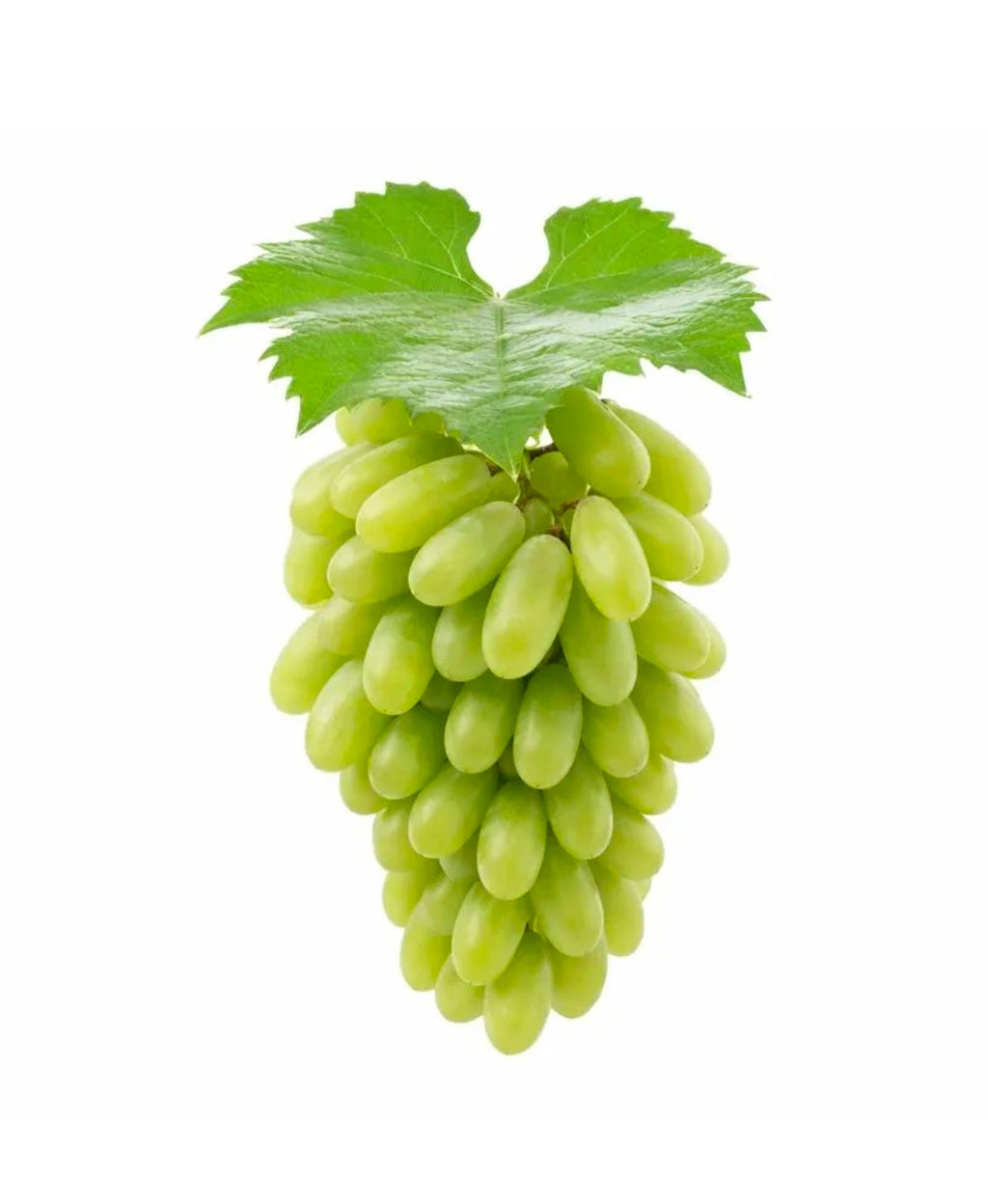 Grapes Sonaka