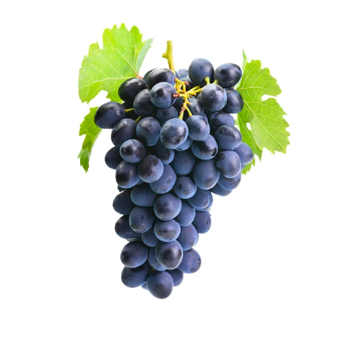 Grapes Black