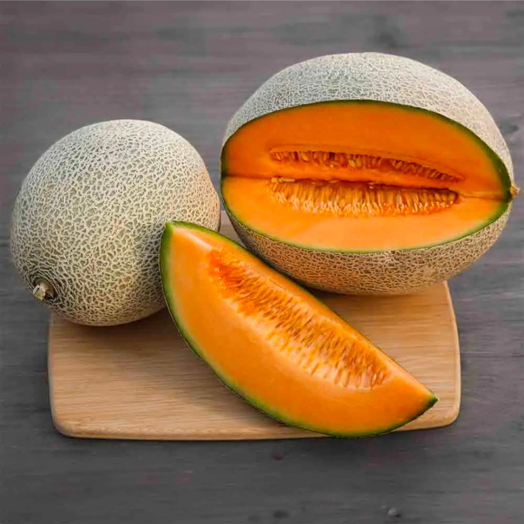 Muskmelon
