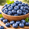 Blueberry (Approx.125g)