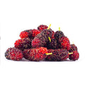 Mulberry (approx.125gm)