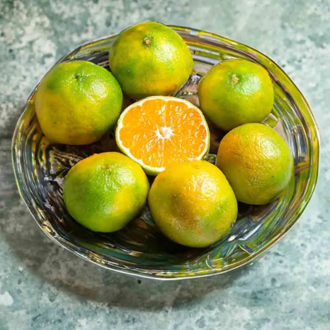 Nagpur Orange