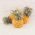 Baby Pineapple (Approx.250g to 350g)