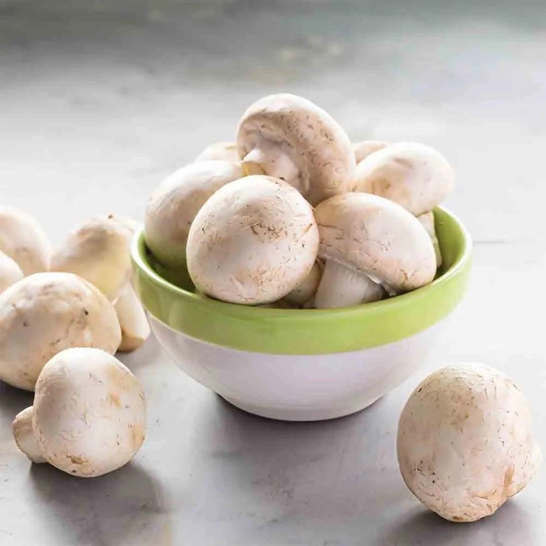 Mushroom
