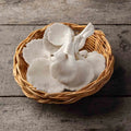 Oyster Mushroom(approx.200gm)