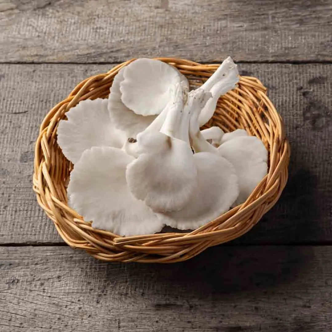 Oyster Mushroom(approx.200gm)
