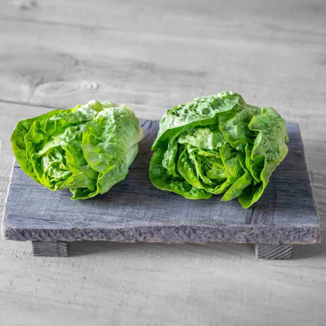 Romaine