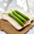 Sponge Gourd
