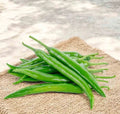 Chilli Green Spicy