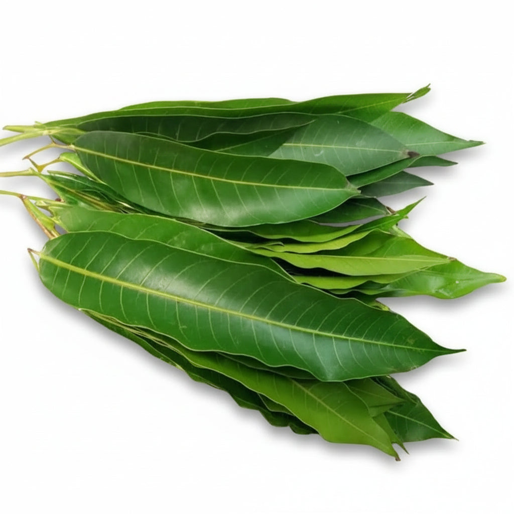 Mango Leaves